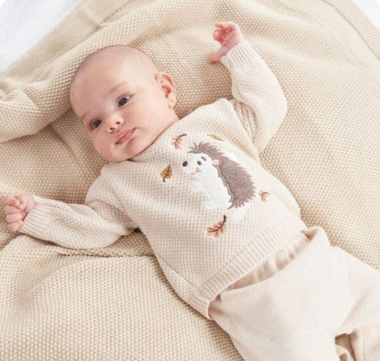 Hedgehog jumper and leggings